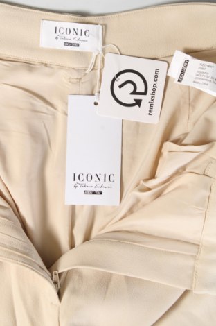 Damen Shorts ABOUT YOU x Iconic by Tatiana Kucharova, Größe L, Farbe Beige, Preis € 12,49