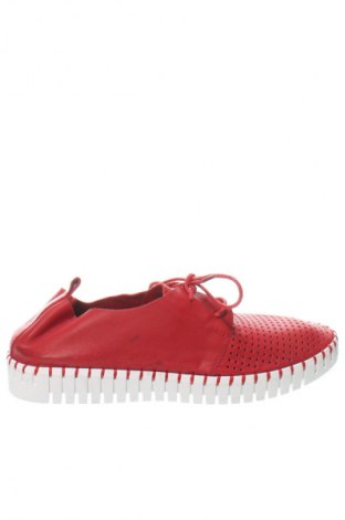 Damenschuhe Midas, Größe 37, Farbe Rot, Preis 31,49 €