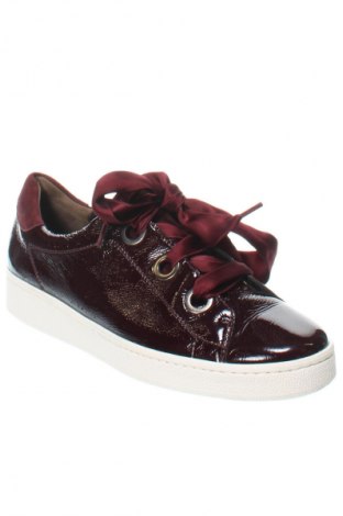 Damenschuhe Paul Green, Größe 38, Farbe Rot, Preis 50,26 €