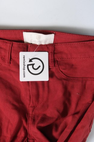 Damenhose, Größe XS, Farbe Rot, Preis € 5,99