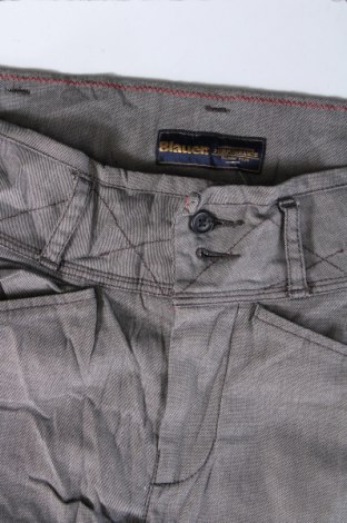 Damenhose Blauer, Größe L, Farbe Grau, Preis 26,99 €