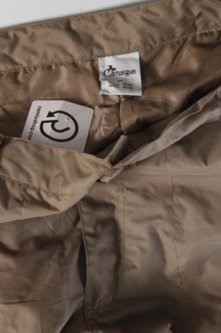 Damenhose Camaieu, Größe L, Farbe Beige, Preis € 8,49