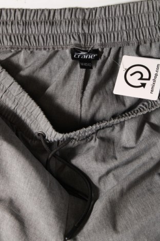 Damenhose Crane, Größe M, Farbe Grau, Preis € 11,99