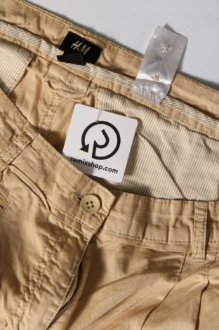 Damenhose H&M, Größe L, Farbe Beige, Preis 5,99 €