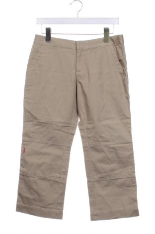 Damenhose Oakley, Größe S, Farbe Beige, Preis € 59,99