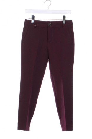 Damenhose Piazza Italia, Größe M, Farbe Lila, Preis 8,99 €