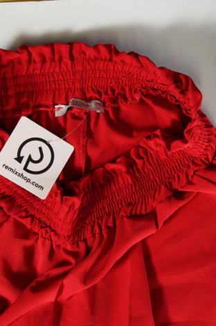 Damenhose Piazza Italia, Größe S, Farbe Rot, Preis 5,99 €