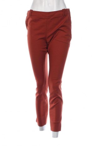 Damenhose Zara, Größe L, Farbe Rot, Preis € 6,49