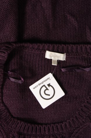 Damenpullover Capture, Größe L, Farbe Lila, Preis € 4,99