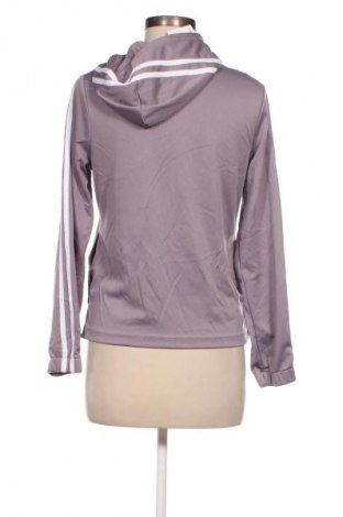 Damen Sweatshirt, Größe M, Farbe Lila, Preis 16,49 €