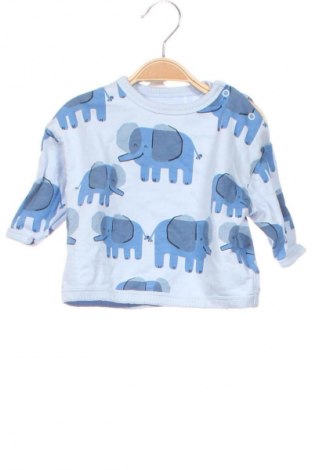 Kinder Shirt LC Waikiki, Größe 3-6m/ 62-68 cm, Farbe Blau, Preis 3,79 €