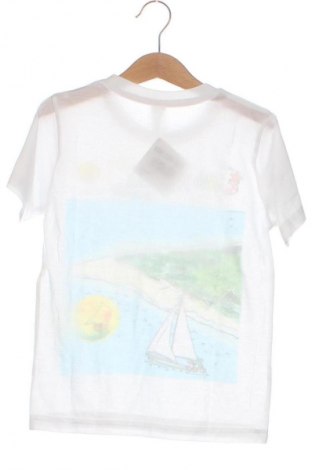 Kinder T-Shirt Bs, Größe 5-6y/ 116-122 cm, Farbe Blau, Preis 6,99 €