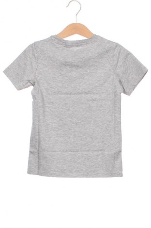 Kinder T-Shirt Double A by Wood Wood, Größe 5-6y/ 116-122 cm, Farbe Grau, Preis 14,99 €