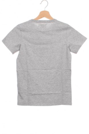 Kinder T-Shirt Double A by Wood Wood, Größe 11-12y/ 152-158 cm, Farbe Grau, Preis € 14,99