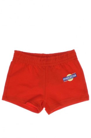 Kinder Shorts Gina Tricot, Größe 18-24m/ 86-98 cm, Farbe Rot, Preis € 6,99