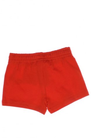 Kinder Shorts Gina Tricot, Größe 18-24m/ 86-98 cm, Farbe Rot, Preis 5,99 €