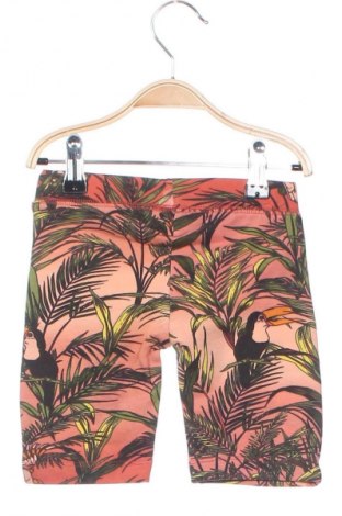 Kinder Shorts Never Fully Dressed, Größe 18-24m/ 86-98 cm, Farbe Mehrfarbig, Preis 9,99 €