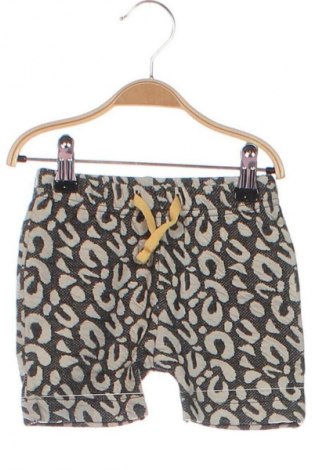 Kinder Shorts Turtledove London, Größe 6-9m/ 68-74 cm, Farbe Mehrfarbig, Preis 7,49 €