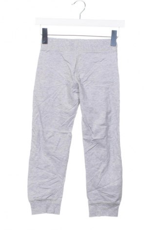 Dziecięce legginsy Blu Kids, Rozmiar 6-7y/ 122-128 cm, Kolor Szary, Cena 67,49 zł