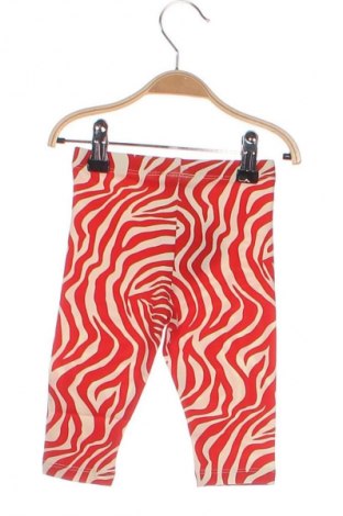 Kinderhose Gina Tricot, Größe 6-9m/ 68-74 cm, Farbe Mehrfarbig, Preis 6,99 €