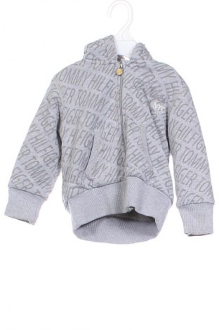 Kinder Sweatshirts Tommy Hilfiger, Größe 18-24m/ 86-98 cm, Farbe Grau, Preis 49,49 €