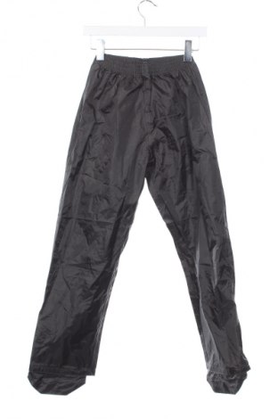 Pantaloni de trening, pentru copii, Mărime 11-12y/ 152-158 cm, Culoare Gri, Preț 15,99 Lei