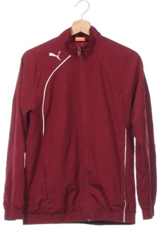 Kinder Sportoberteil PUMA, Größe 13-14y/ 164-168 cm, Farbe Rot, Preis € 13,49