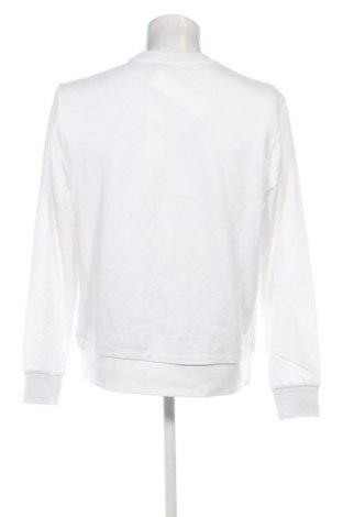 Herren Shirt Calvin Klein, Größe L, Farbe Weiß, Preis € 47,99