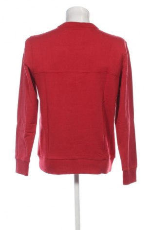 Herren Shirt Calvin Klein, Größe M, Farbe Rot, Preis € 47,99