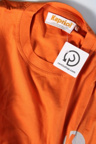 Herren T-Shirt, Größe XXL, Farbe Orange, Preis € 7,79