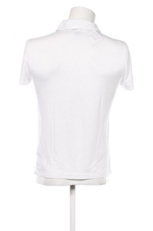 Herren T-Shirt Abercrombie & Fitch, Größe S, Farbe Weiß, Preis € 41,99