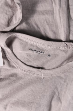 Ανδρικό t-shirt Abercrombie & Fitch, Μέγεθος XL, Χρώμα Γκρί, Τιμή 21,99 €