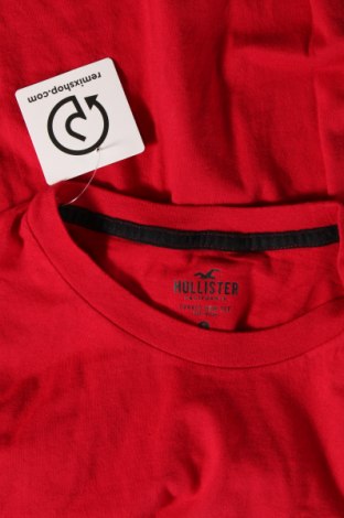 Herren T-Shirt Hollister, Größe S, Farbe Rot, Preis € 8,99