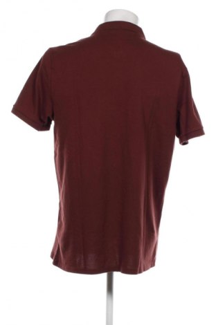 Herren T-Shirt Hollister, Größe XL, Farbe Braun, Preis € 14,79