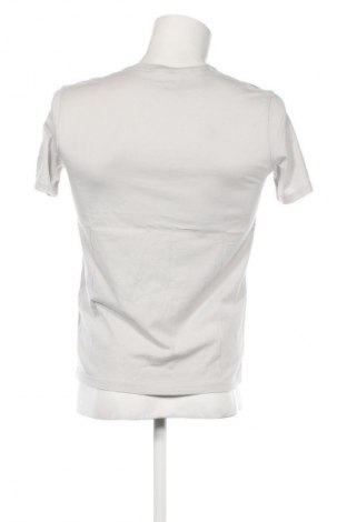 Herren T-Shirt Hollister, Größe S, Farbe Grau, Preis 7,49 €