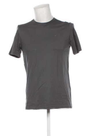 Herren T-Shirt Hollister, Größe M, Farbe Grau, Preis 7,49 €