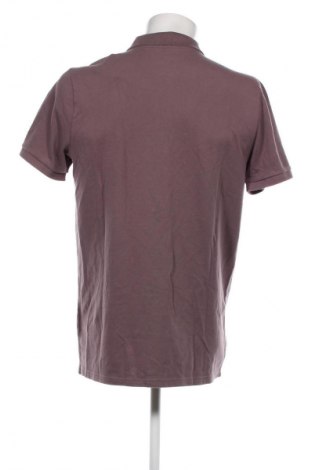 Herren T-Shirt Hollister, Größe L, Farbe Lila, Preis € 15,79