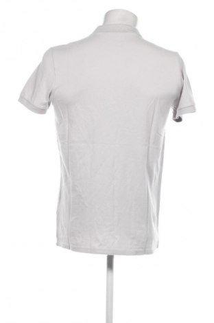 Herren T-Shirt Hollister, Größe M, Farbe Grau, Preis € 13,29