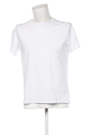 Męski T-shirt Hollister, Rozmiar M, Kolor Biały, Cena 49,99 zł