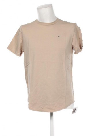 Herren T-Shirt Hollister, Größe L, Farbe Beige, Preis € 10,79