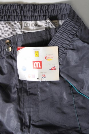 Herrenhose Wilson, Größe L, Farbe Grau, Preis 21,20 €