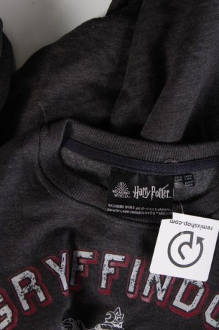 Herrenpullover Harry Potter, Größe S, Farbe Braun, Preis 9,99 €