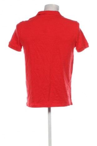 Herren T-Shirt Oviesse, Größe M, Farbe Rot, Preis 12,99 €