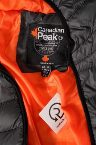 Męska kurtka Canadian Peak, Rozmiar M, Kolor Szary, Cena 337,99 zł