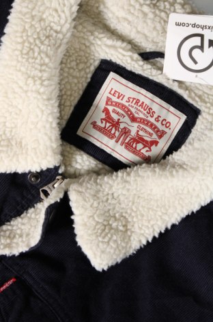 Ανδρικό μπουφάν Levi's, Μέγεθος XXL, Χρώμα Μπλέ, Τιμή 79,99 €