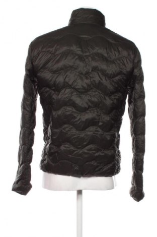 Herrenjacke Superdry, Größe M, Farbe Grün, Preis 81,49 €