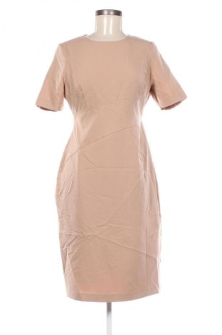 Kleid Dorothy Perkins, Größe M, Farbe Beige, Preis 5,99 €