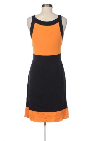 Kleid Luisa Spagnoli, Größe M, Farbe Mehrfarbig, Preis 78,99 €