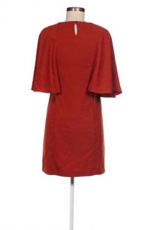 Kleid Mango, Größe XS, Farbe Braun, Preis 9,99 €