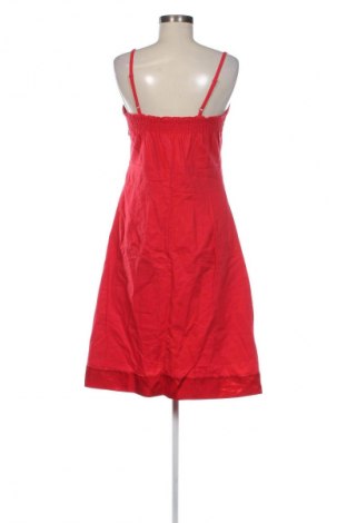 Kleid Orsay, Größe L, Farbe Rot, Preis 5,99 €